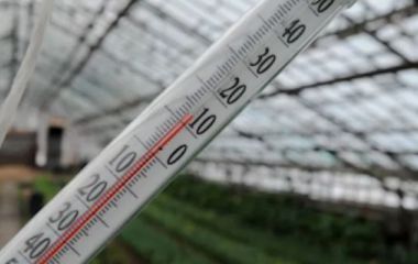 Монтаж скрытой системы подогрева грунта в зимнем саду или оранжерее