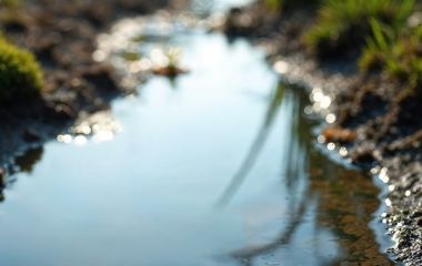 Весенний паводок: как проверить защиту участка