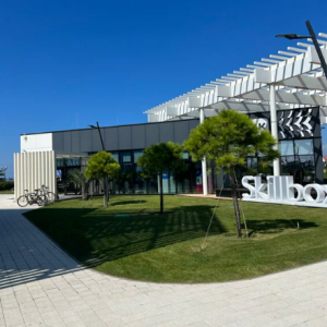 ВКОНТАКТЕ / ДОМ VK