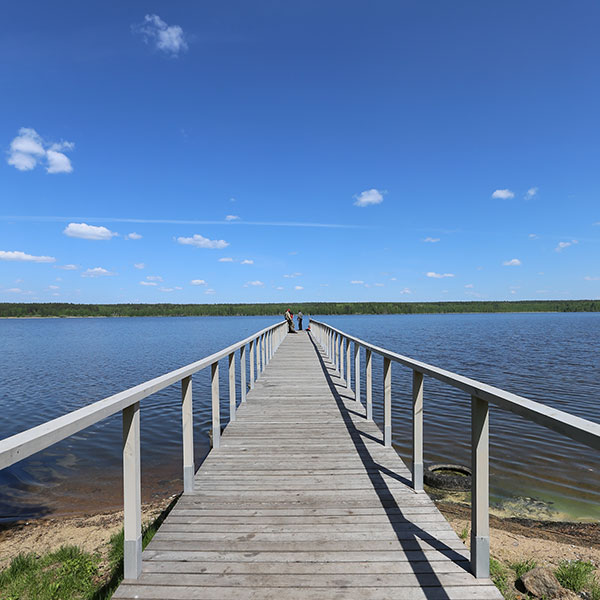 Береговая линия